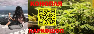прущие грибы Ачхой-Мартан