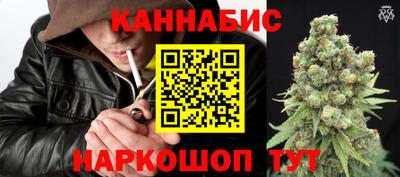 прущие грибы Ачхой-Мартан
