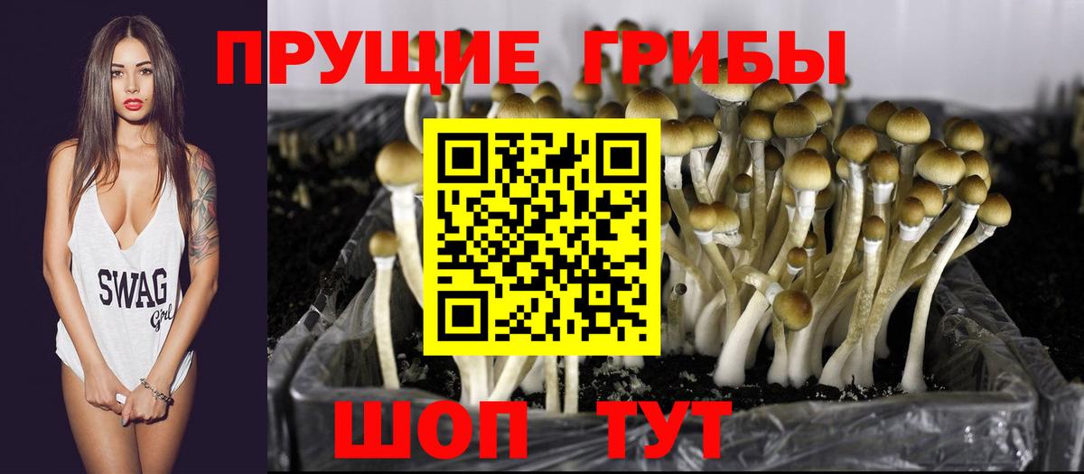 Псилоцибиновые грибы Magic Shrooms  Псилоцибиновые грибы Psilocybe  Гудермес  Вход с VPN 